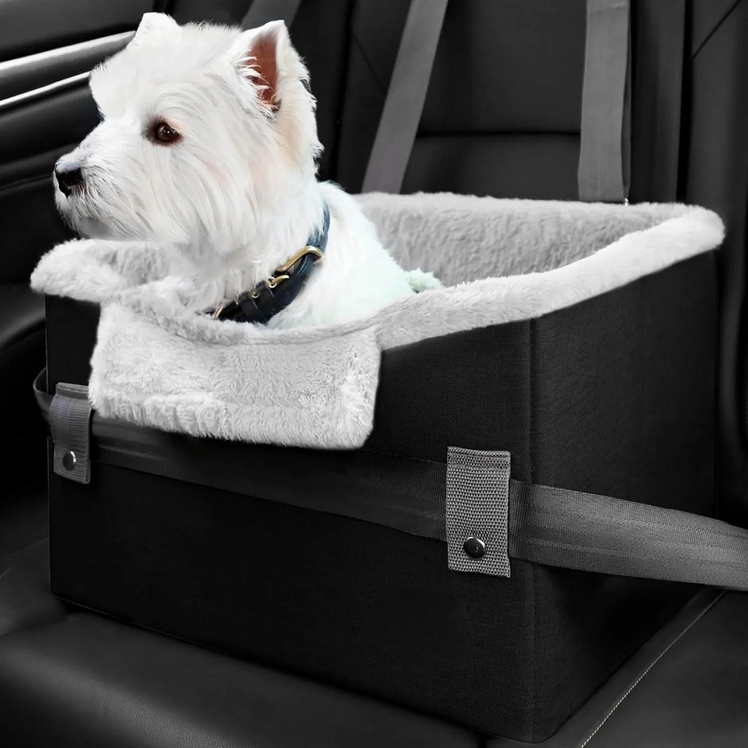 Cozy car booster seat for small dogs and cats up to 25 lbs with adjustable safety leash and collapsible design