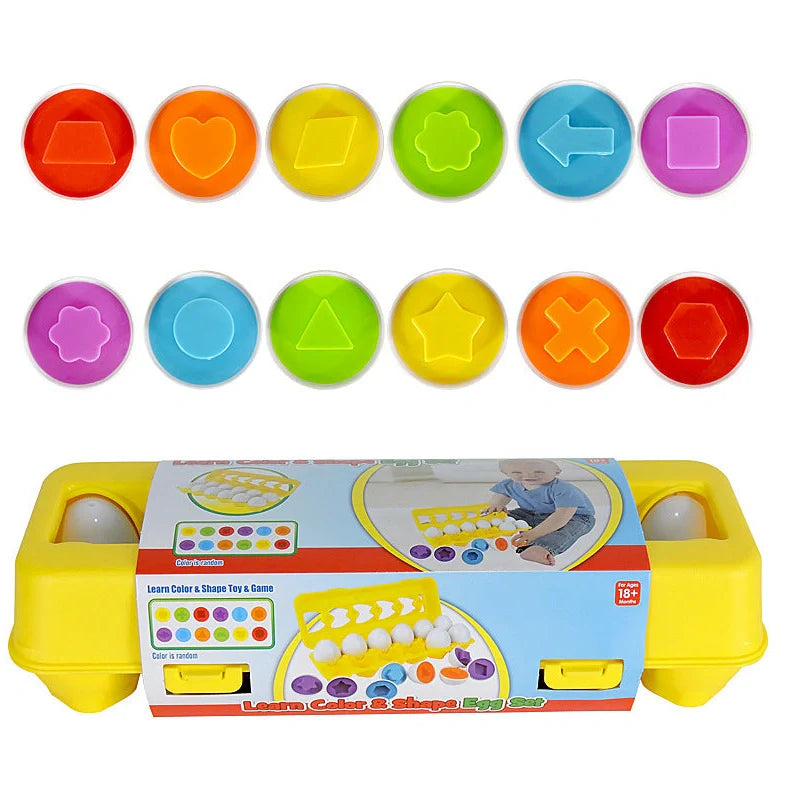 Educational shape matching egg toy with 12 colourful plastic eggs in storage case