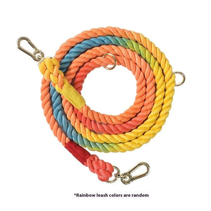 Woven rainbow pattern dog leash with double grip handles and a metal clasp.