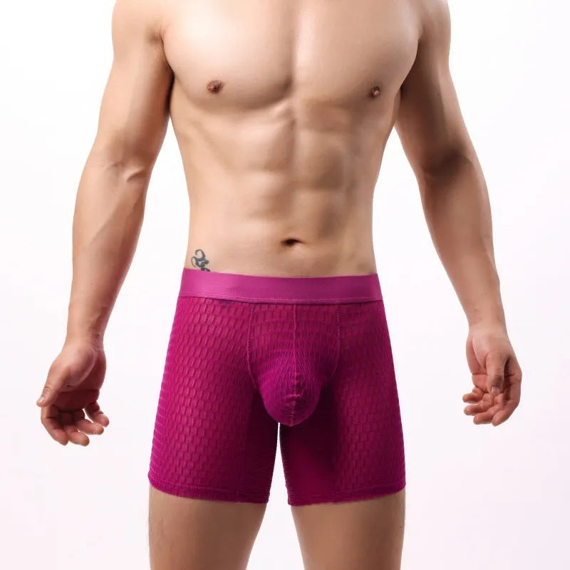 Men's low waist lace mesh boxer shorts in multiple colours on a white background.