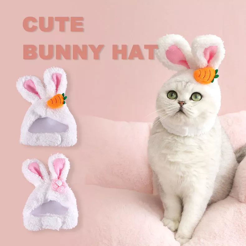 Plush cartoon pet ears hat for cats and dogs, available in flower and carrot rabbit designs