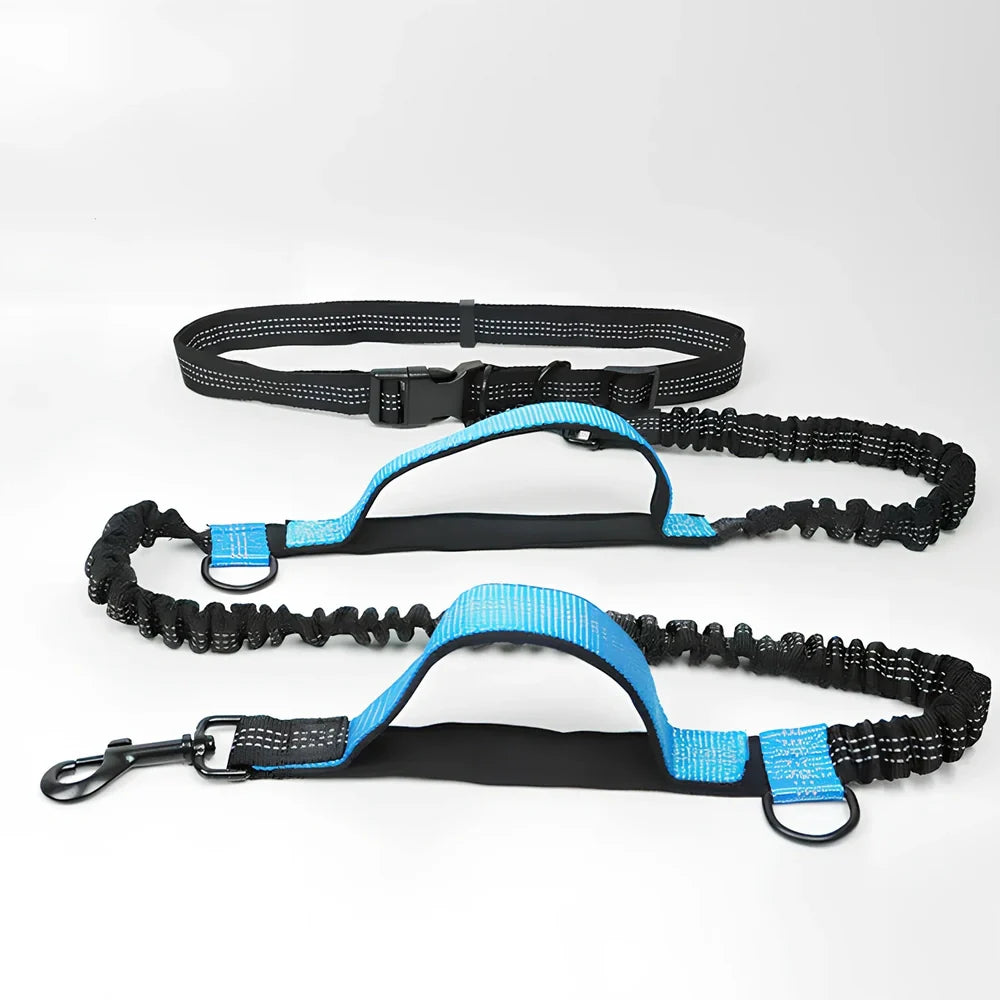 Adjustable fluorescent green nylon pet leash with sliding mechanism showing 150cm length