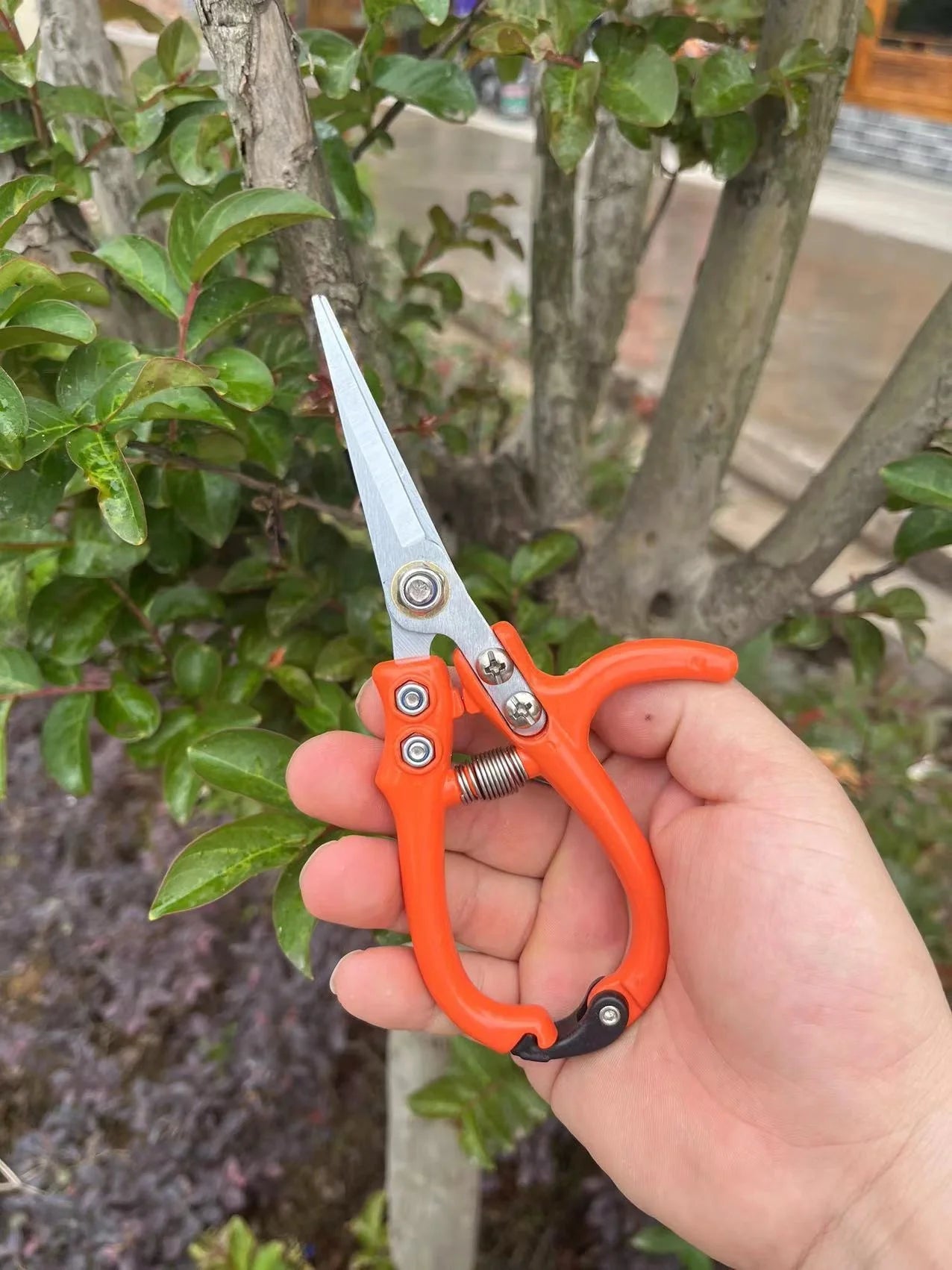 Multifunctional garden scissors with safety buckle and stainless steel spring for pruning