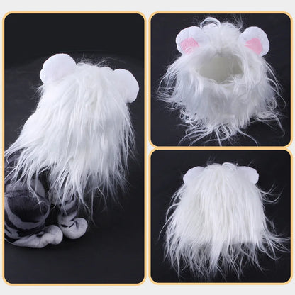 Black lion headgear wig hat costume accessory fitting on cat's head