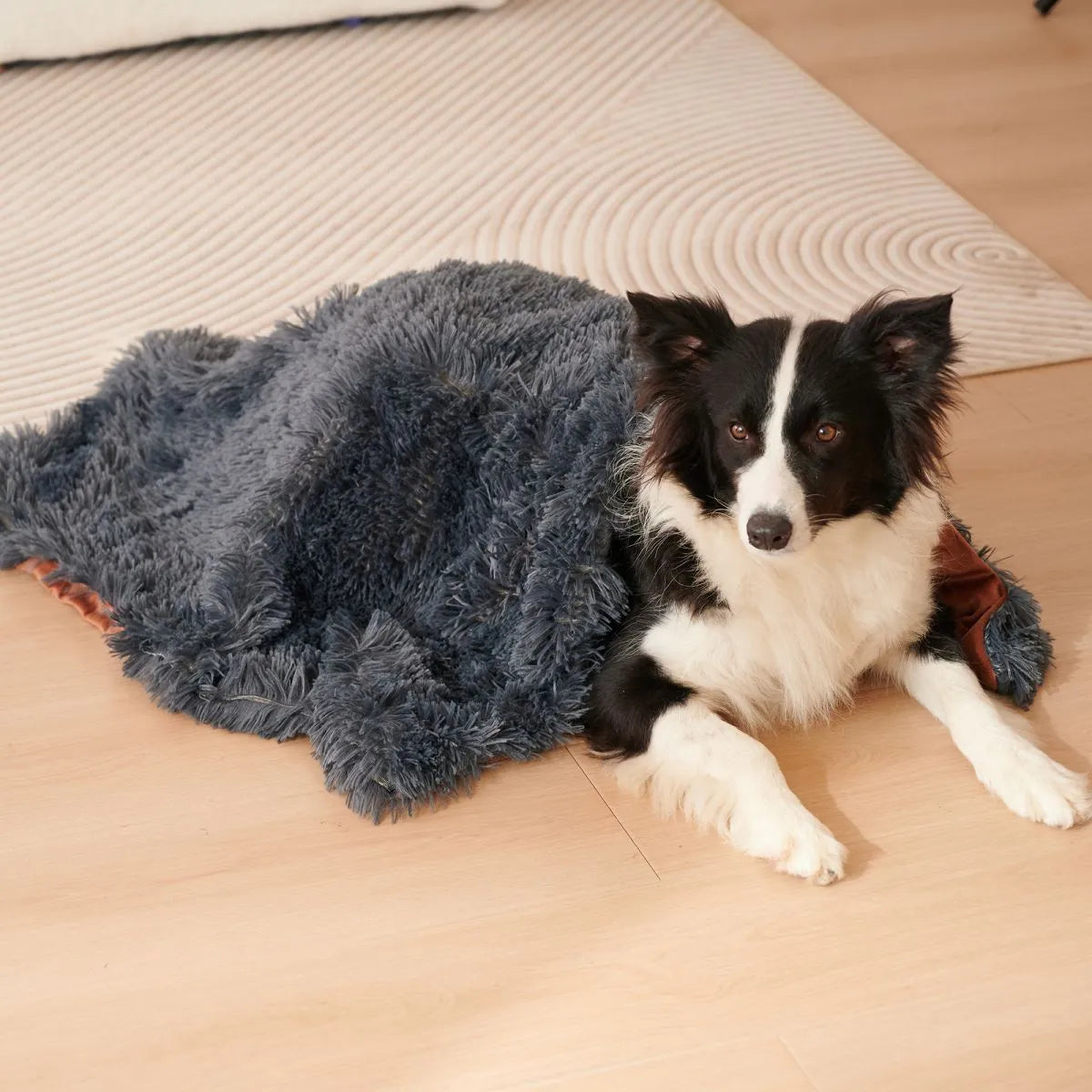 Light grey velvet pet blanket draped over a sofa next to a sleeping dog