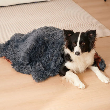 Light grey velvet pet blanket draped over a sofa next to a sleeping dog