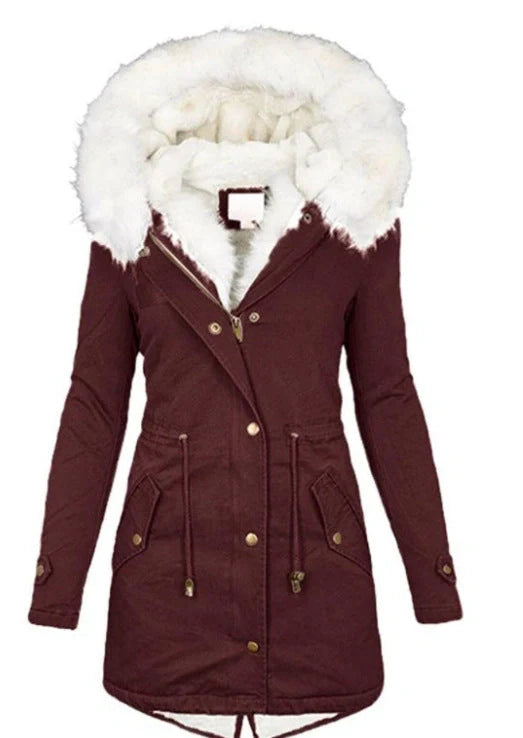 Women's cozy cotton padded jacket with a stylish white collar, available in multiple colors and sizes.