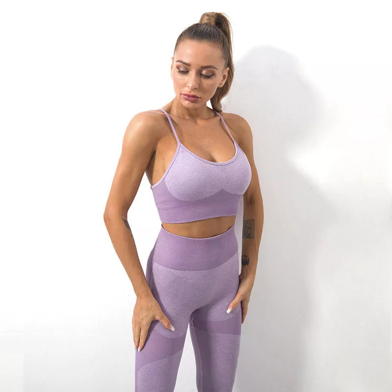 Women's seamless knitted sling sports bra yoga suit in purple, gray, green, and black