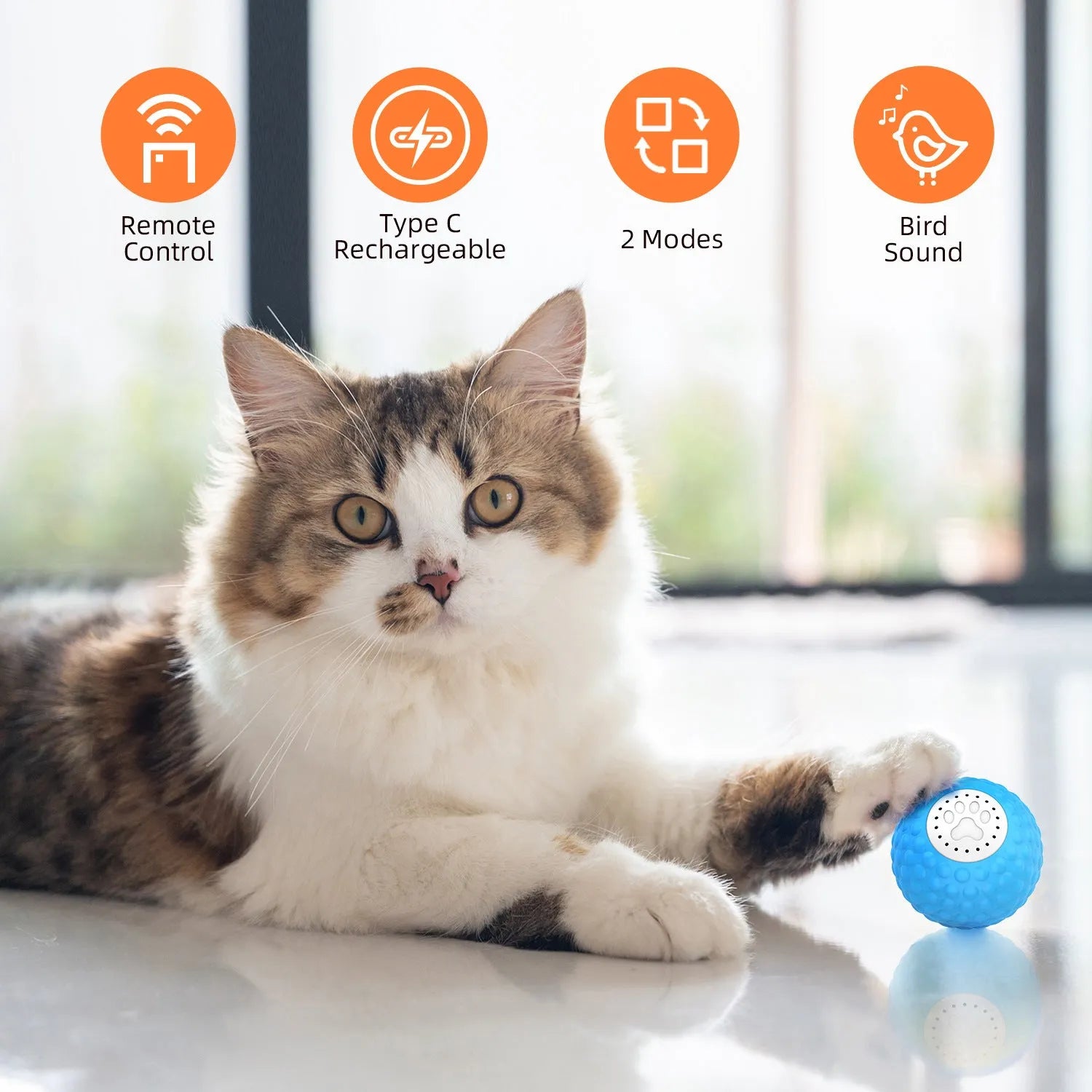 Blue remote control interactive rolling ball cat toy with sound effects on a carpet.