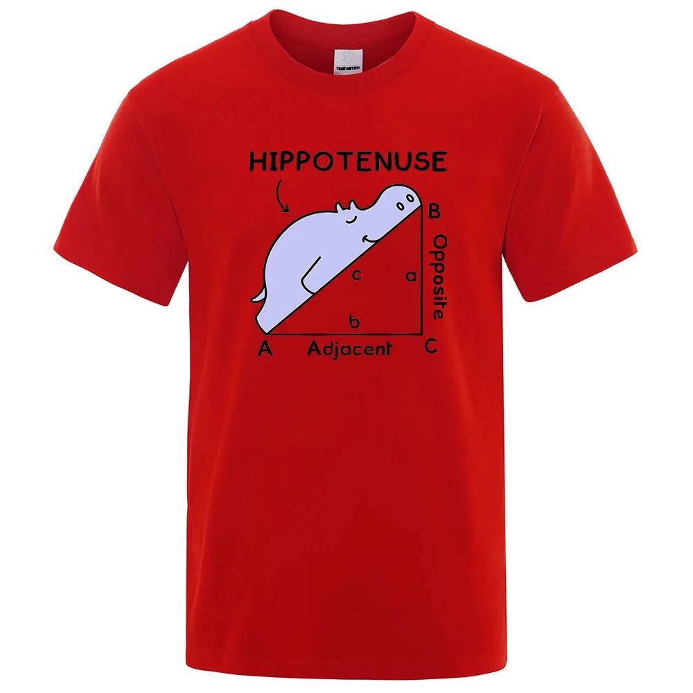 Loose fit white cotton t-shirt featuring a colourful 'Hippotenuse Opposite Adjacent' funny printed design on the front.