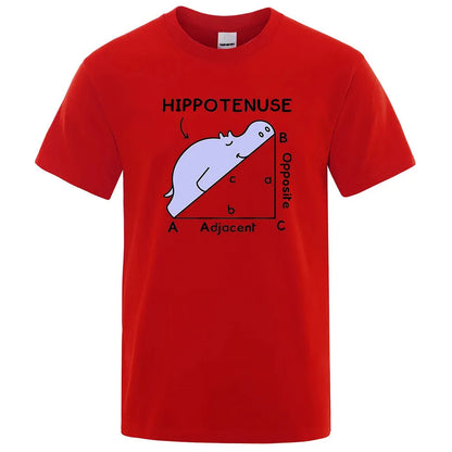 Loose fit white cotton t-shirt featuring a colourful 'Hippotenuse Opposite Adjacent' funny printed design on the front.