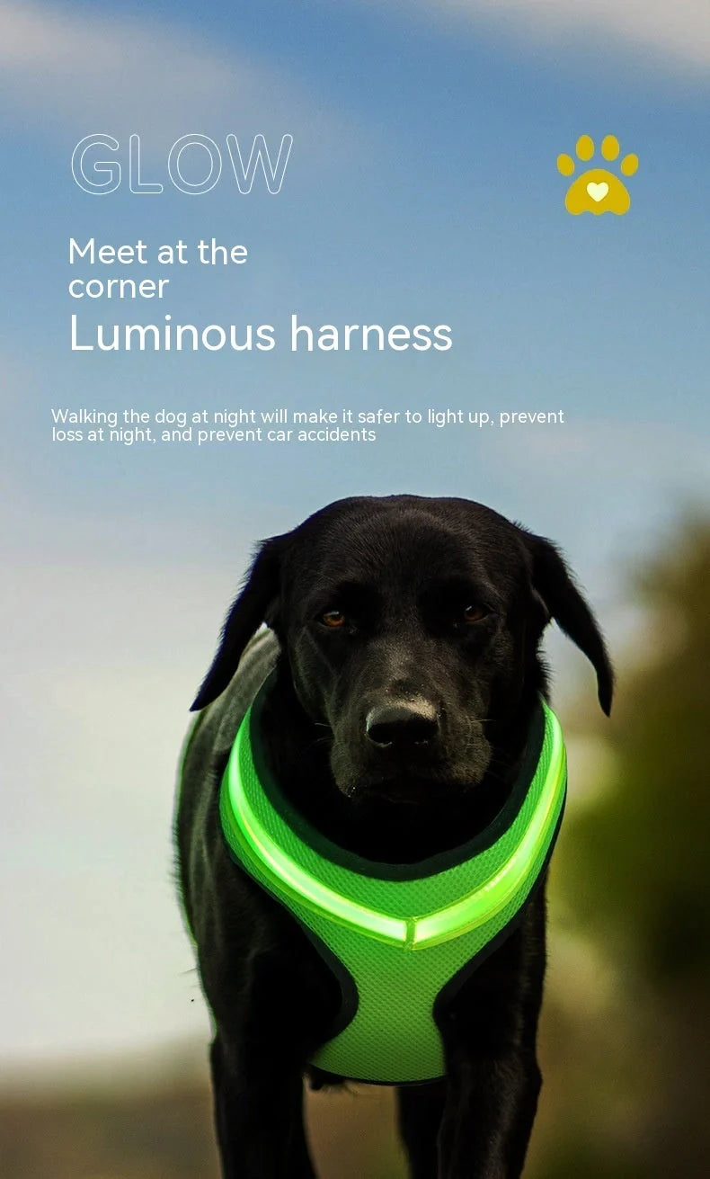 USB rechargeable LED dog harness in blue, red, or green with reflective safety features