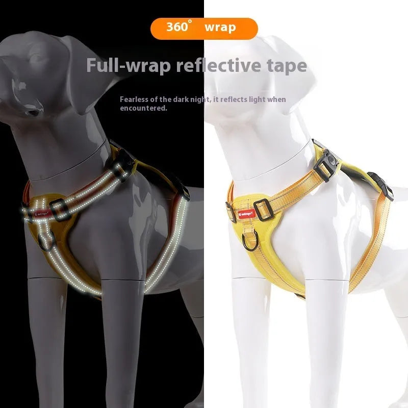 Adjustable polyester dog harness with front D-ring in Lake Blue colour on medium-sized dog