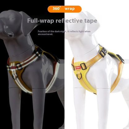 Adjustable polyester dog harness with front D-ring in Lake Blue colour on medium-sized dog