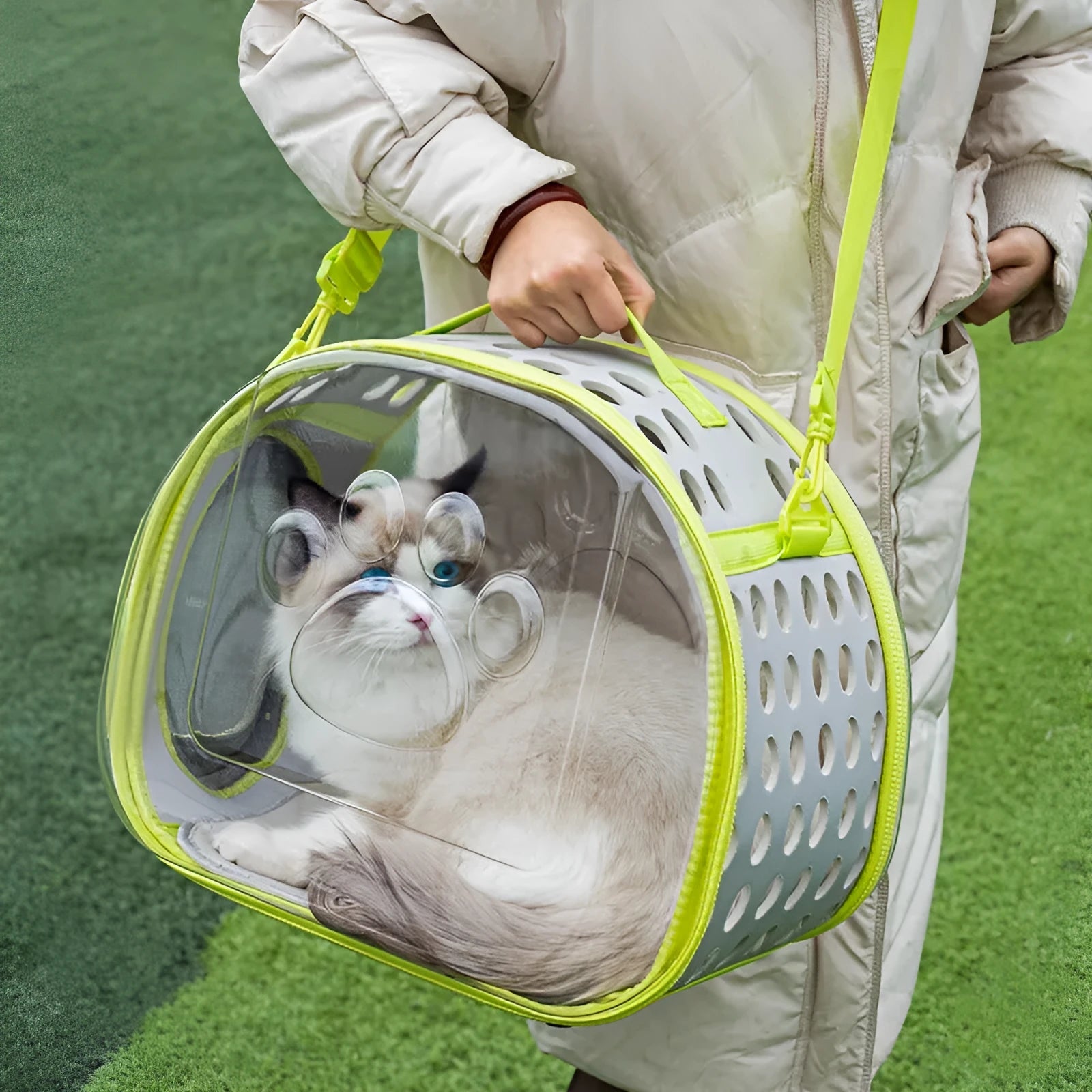 Transparent EVA hard-shell cat backpack carrier in large 42cm size for pets up to 9kg