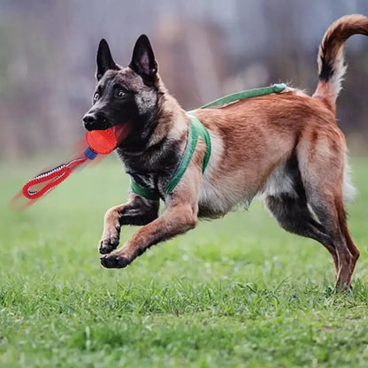 Interactive dog toy ball with rope for teeth cleaning and training