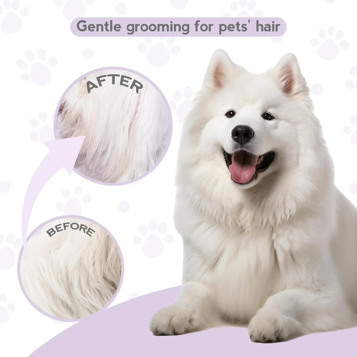 Purple detangling pet comb with stainless steel teeth for grooming dogs and cats, showing ergonomic handle.