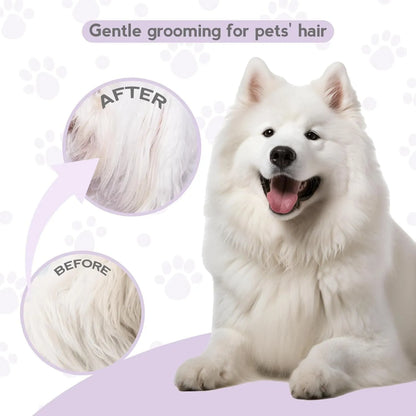 Purple detangling pet comb with stainless steel teeth for grooming dogs and cats, showing ergonomic handle.