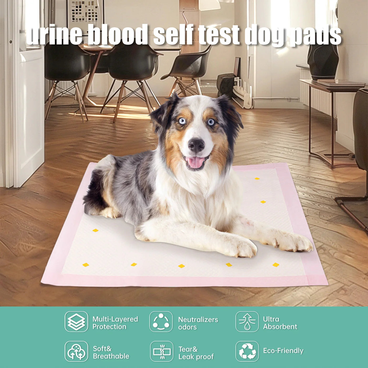 Advanced Dog Detection Urine Pads, 10-Pack for clean and convenient pet training