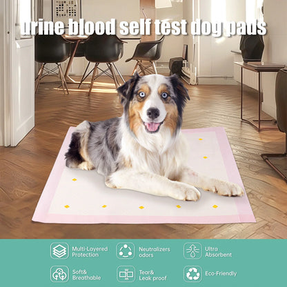 Advanced Dog Detection Urine Pads, 10-Pack for clean and convenient pet training