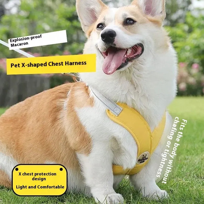Adjustable dog vest and hand holding rope set in blue, green, pink, or yellow colours with polyester material