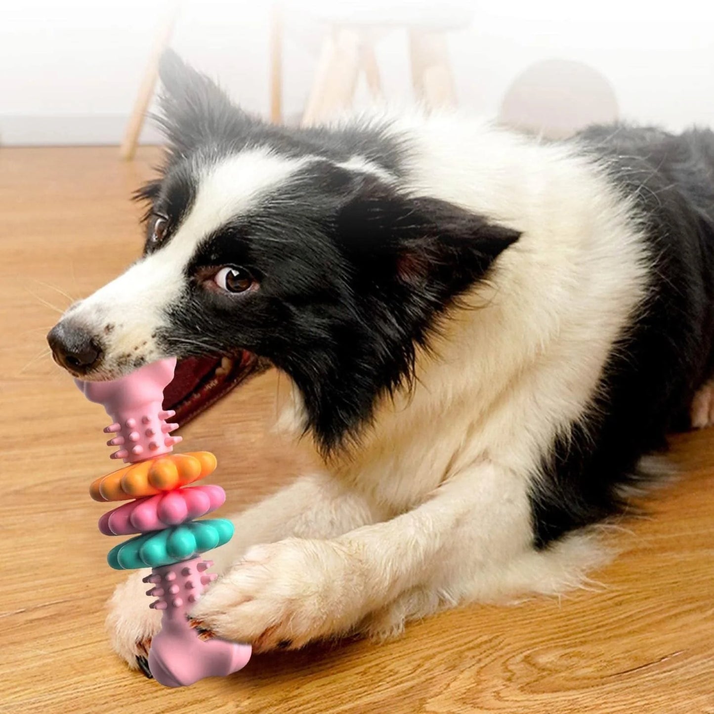 Durable TPR dog chew bone in blue, pink, or green for teeth cleaning and stress relief