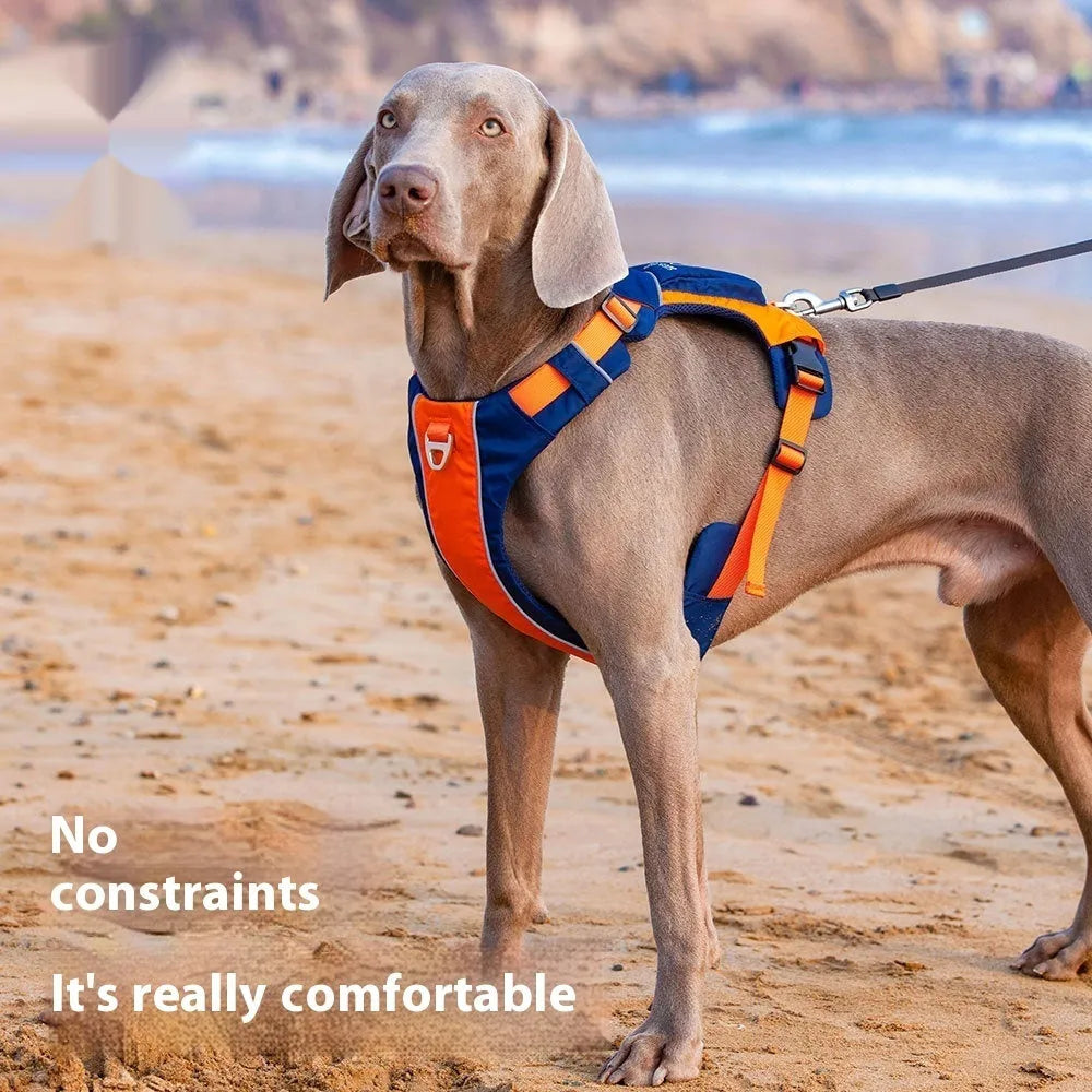Orange blue vest-style dog chest strap with nylon construction and D-ring attachment