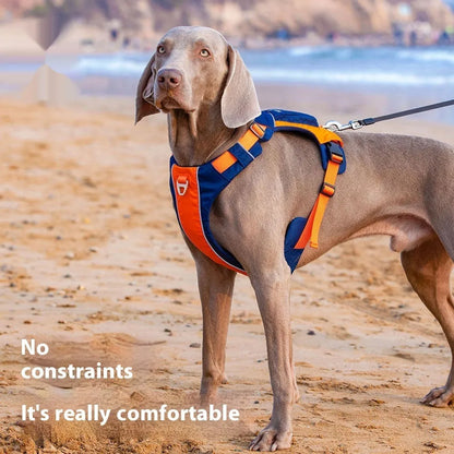 Orange blue vest-style dog chest strap with nylon construction and D-ring attachment