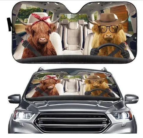 Telescopic aluminium foil car sun visor extended on a car windscreen