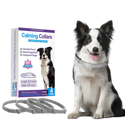 Four dog anxiety relief collars in different colours with 62cm adjustable TPR construction for calming support