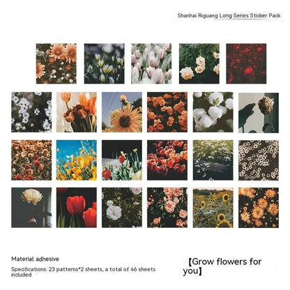Box of 46 square decorative stickers with Nordic mountain, sea, and floral designs, each 44mm wide.