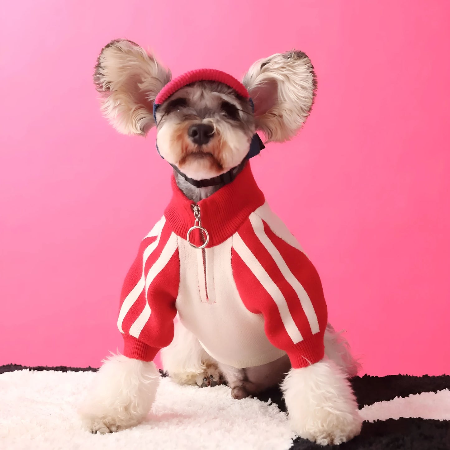 Red puppy dog sports sweater cardigan made from wool material for pet wear