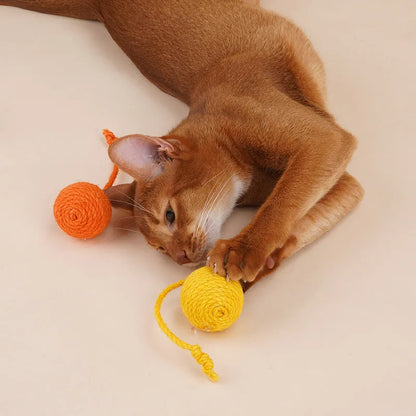 Cat toy set showing a colourful teaser stick and a bite-resistant catnip ball on a white background.