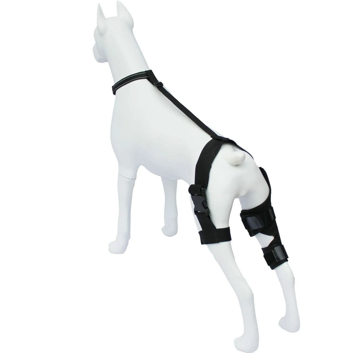 Neoprene dog hind leg knee brace assist strap in collar black colour with adjustable closure.