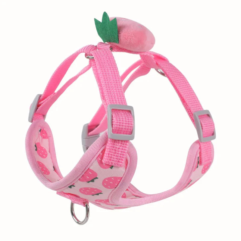 Reflective chest strap vest-style small dog walking harness with detachable lead, featuring a secure D-ring attachment point and adjustable polyester construction in carrot, strawberry, or avocado colour options.