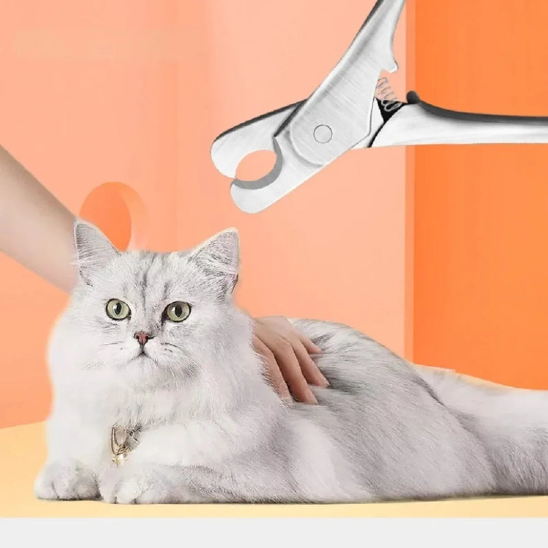 Professional pet nail clipper for dogs and cats with stainless steel sharp blades for safe grooming and toe trimming, featuring silver colour finish and comfortable finger grip design