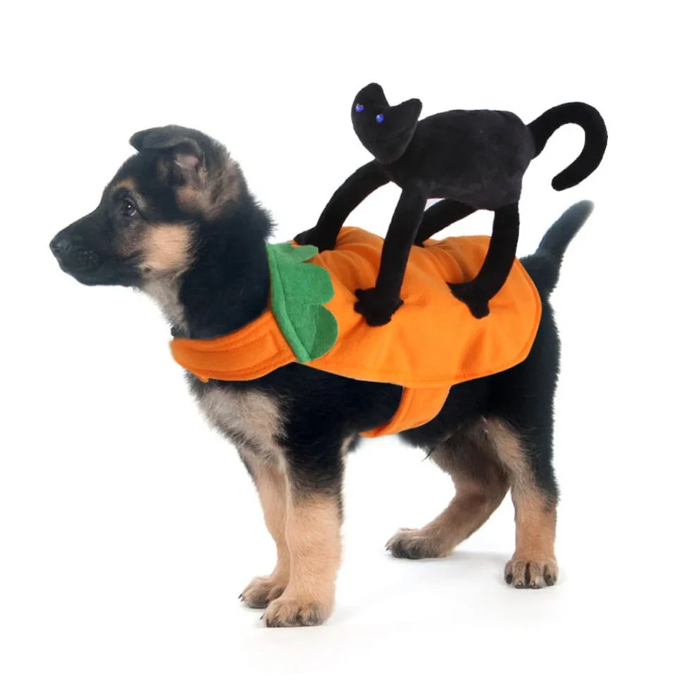 Pet wearing cartoon cowboy costume with knight-style design and matching hat, showing multiple colour options