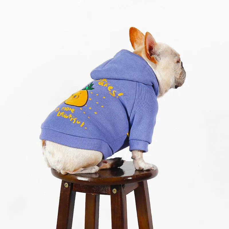 Blue and purple cartoon printed cotton hoodie for pets on a dog or cat, showing the plush design and hood.