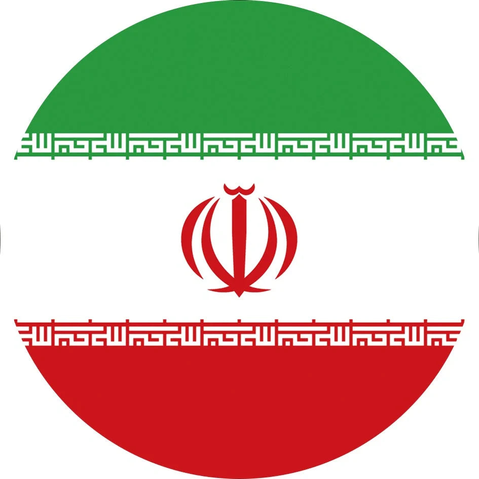 World Cup Qatar football themed biodegradable dishwashing sponges with national flag designs