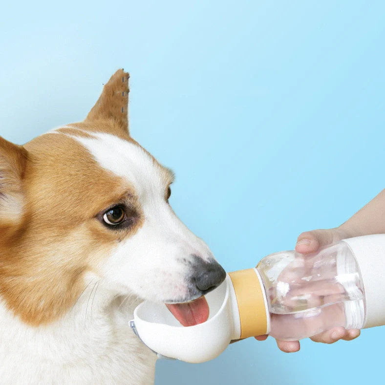 Go Out Water Cup portable dog drinking bottle with wide opening and twist-turn mechanism in cloud white colour