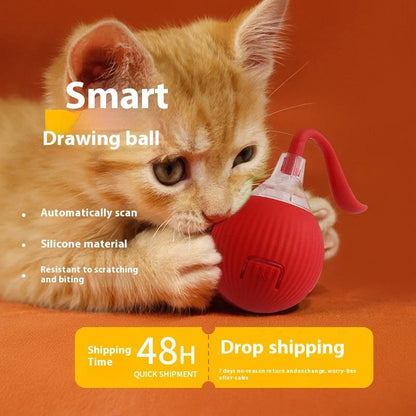 Interactive Cat Toy Ball Super Drive with auto shut-off and three play modes