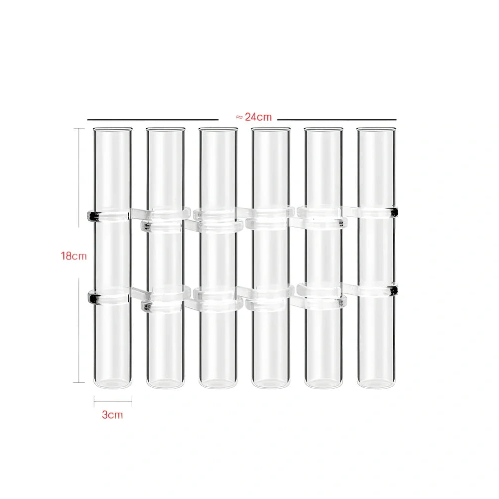 Clear glass hinged test tube vase with plants in curved arrangement