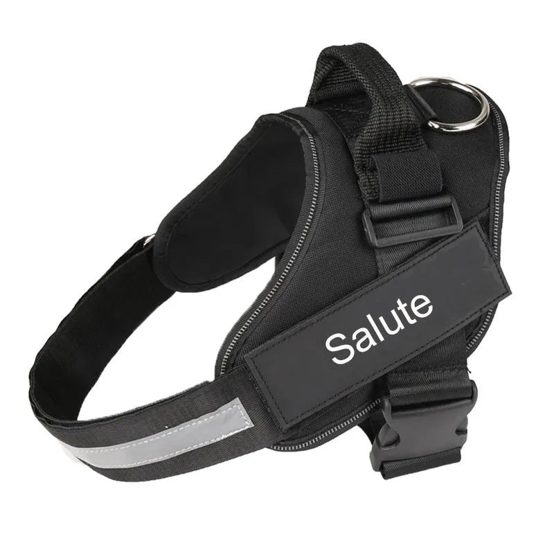A reflective adjustable no-pull dog harness in nylon, shown on a dog, with a sturdy handle and D-ring for leash attachment.