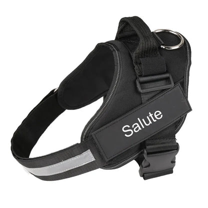 A reflective adjustable no-pull dog harness in nylon, shown on a dog, with a sturdy handle and D-ring for leash attachment.