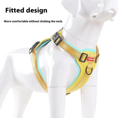 Adjustable polyester dog harness with front D-ring in Lake Blue colour on medium-sized dog