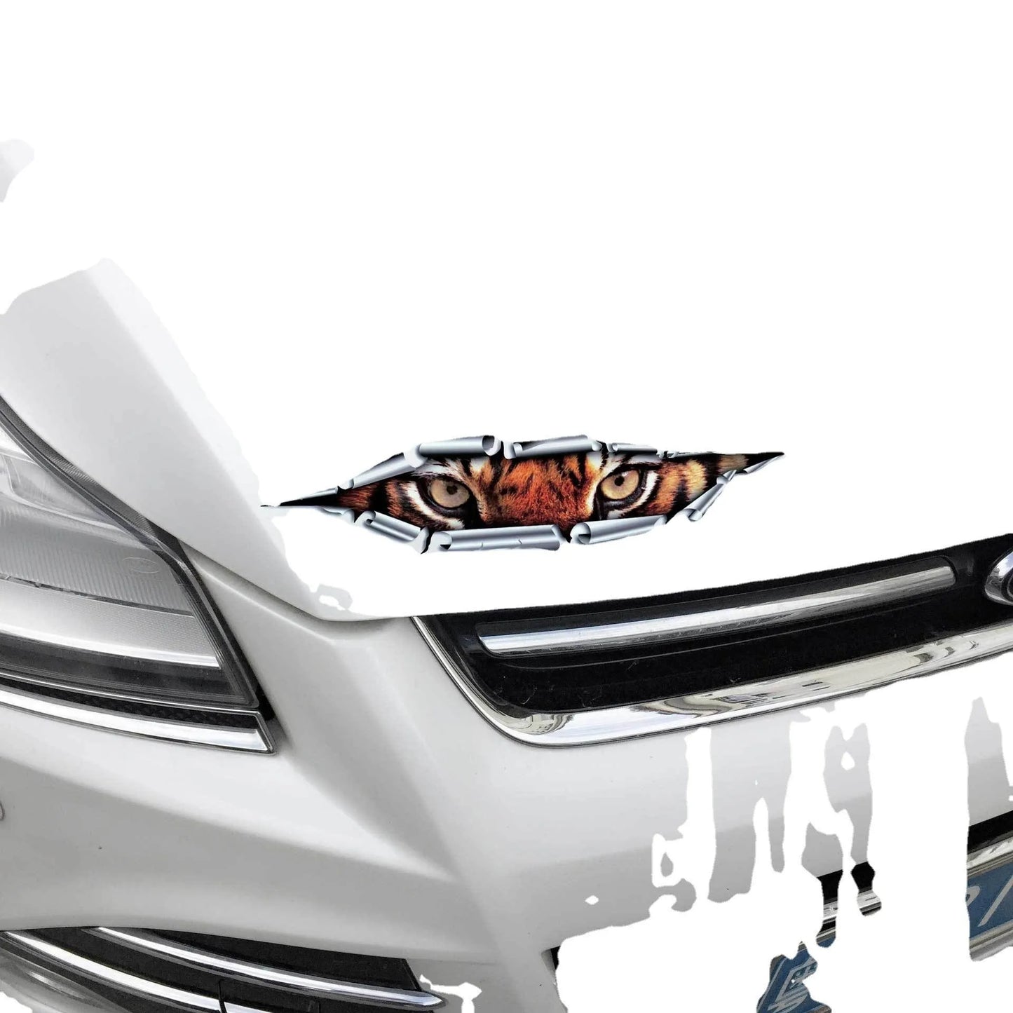 Tiger Eye and Eagle Eye 3D car bumper sticker on vehicle, showing 10x35cm HD PVC decal with vibrant colours
