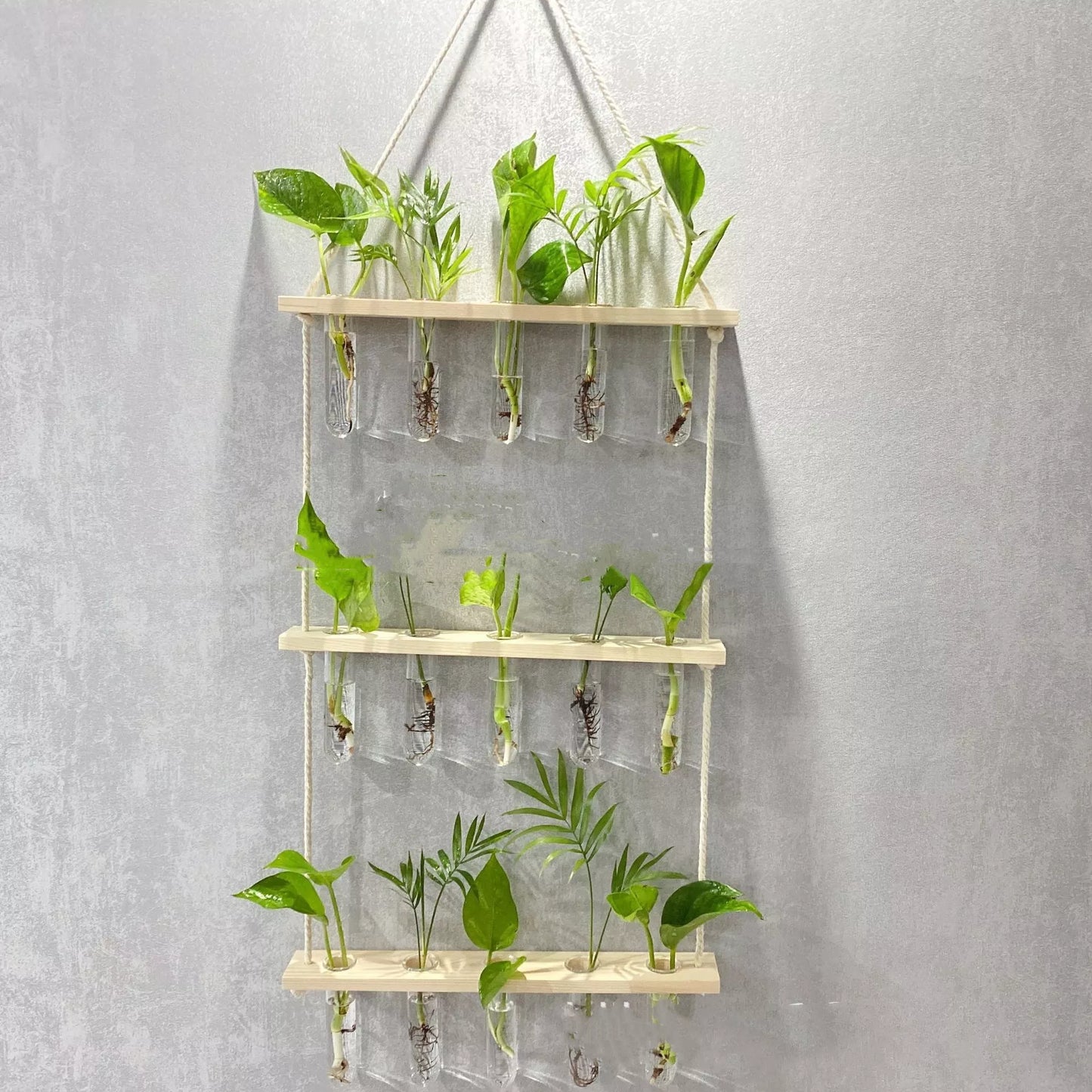 Creative Hydroponics Wall Hanging Vase with test tubes for vertical gardening