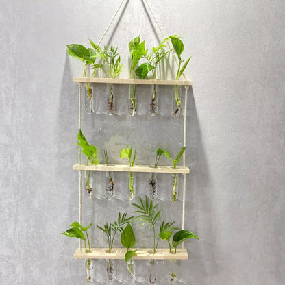 Creative Hydroponics Wall Hanging Vase with test tubes for vertical gardening