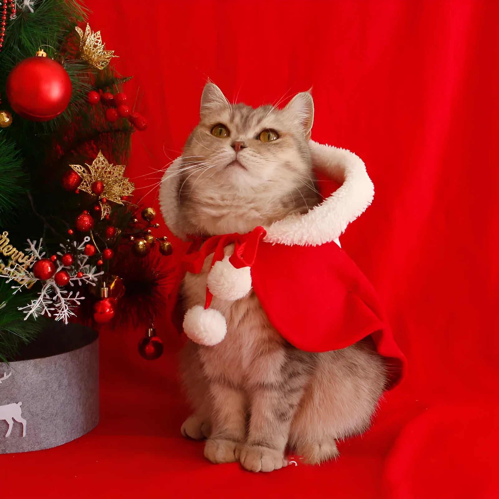 Red Christmas hooded cloak for pets made from polar fleece material on dog model