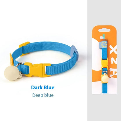 Small dog wearing elastic polyester collar in sky blue colour, showing stretch fit around neck